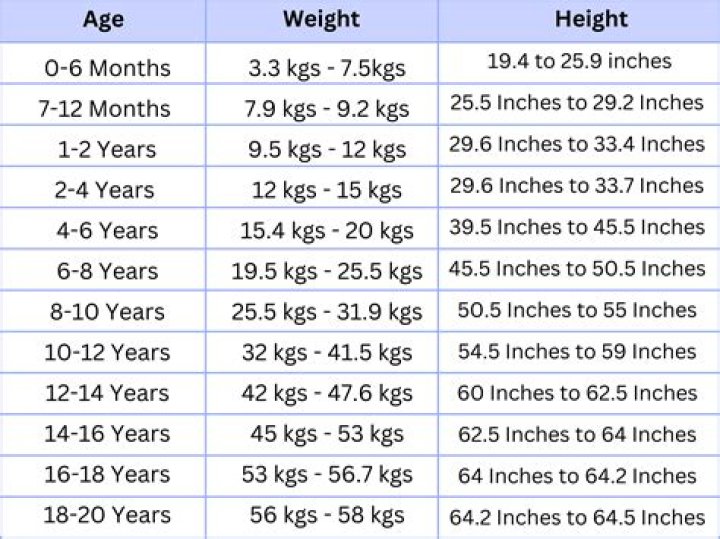 A Journey Of Height, Weight, Age, Family, And Style