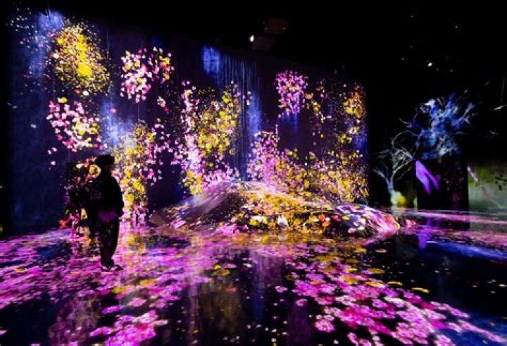 An Immersive Journey Into Art, Science, And Technology