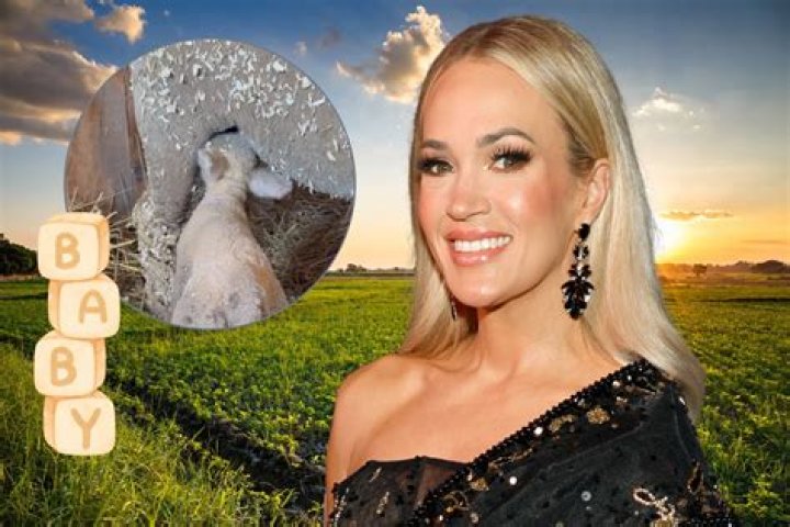 Discover Carrie Underwood's Pregnancy Status