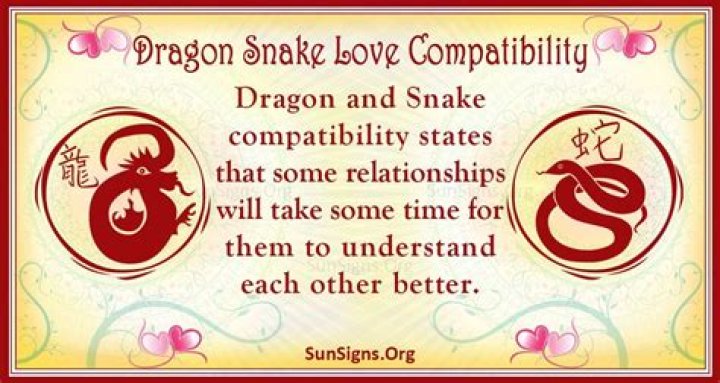 Dragon And Snake Compatibility: Determined Partners ·