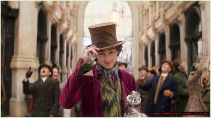 Enchanting Discoveries and Unforgettable Insights