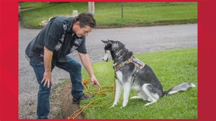 Ernie Brown Jr.: The Dog Trainer Extraordinaire