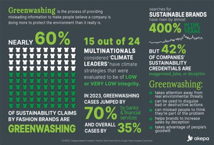 EU bans misleading environmental claims that rely on offsetting | Carbon offsetting