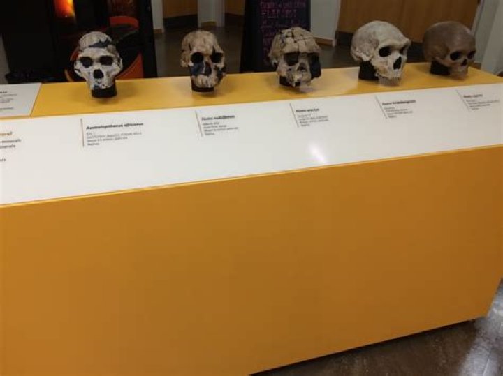 Explore The Extraordinary Lake Orion Library