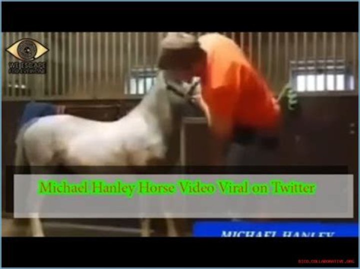 Exploring The Infamous Michael Hanley Horse Video Mr Hands Original