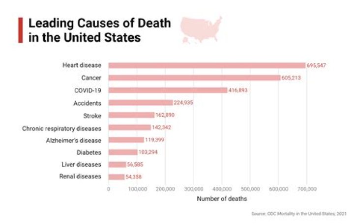Exploring The Obituary And Cause Of Death
