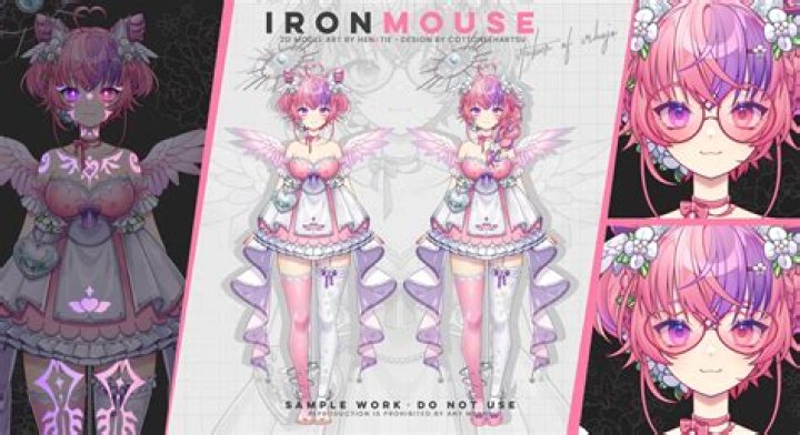 Ironmouses Health Updates What Disease Does She Have