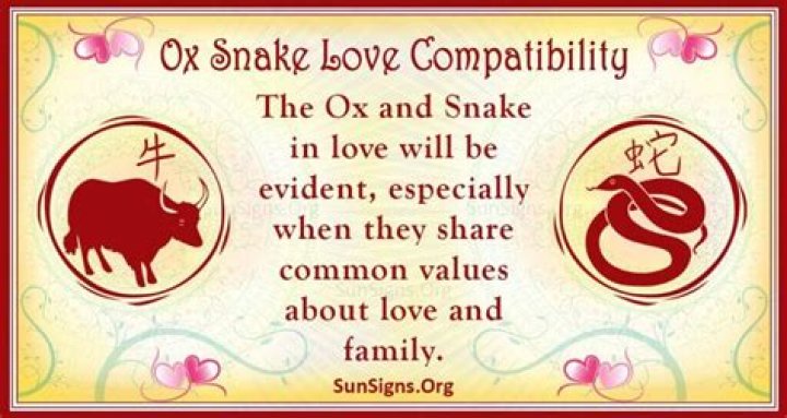 Ox Man Snake Woman Compatibility ·