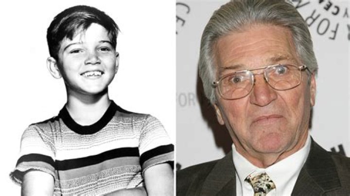 Paul Petersen Net Worth, Income, Salary, Earnings, Biography |