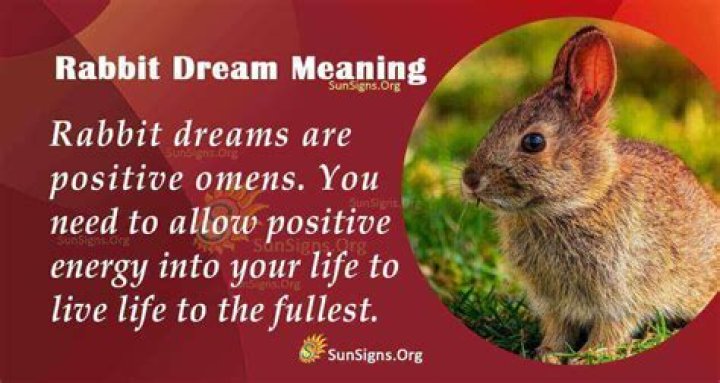 Rabbit In Dreams - Meaning, Interpretation And Symbolism ·