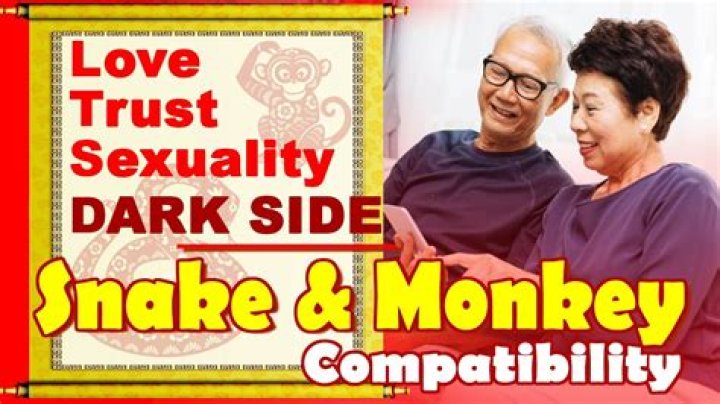 Snake Man Monkey Woman Compatibility ·