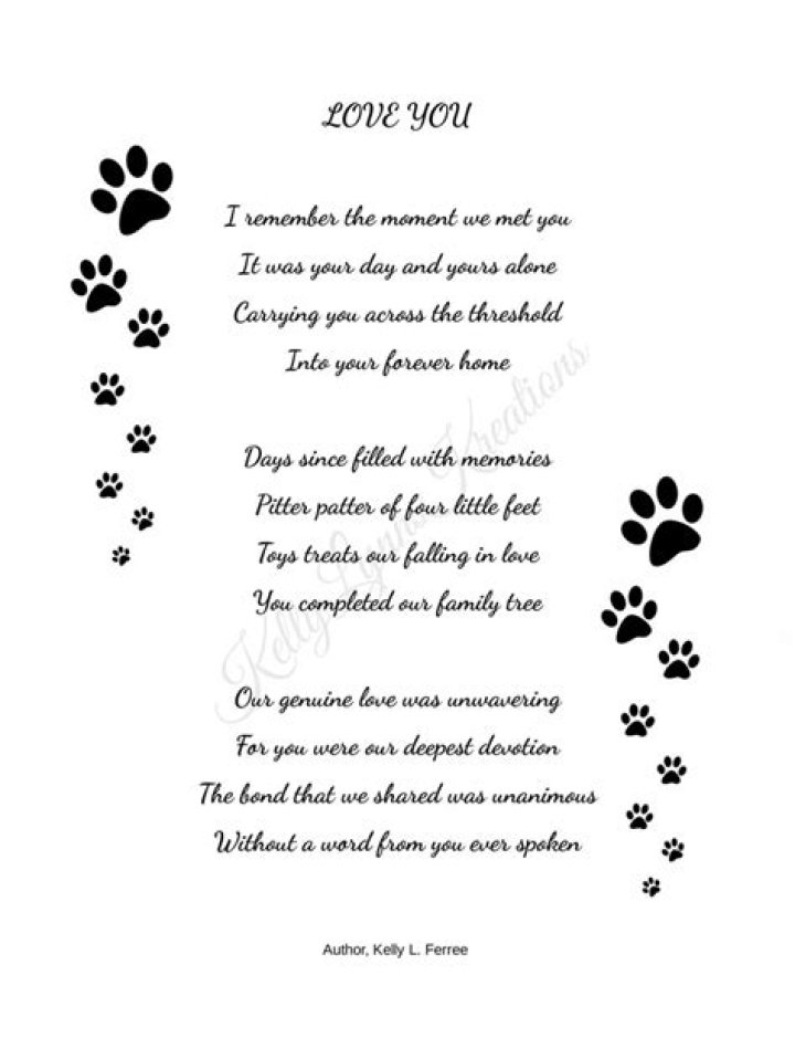 Uncovering The Legacy Of A Beloved Dog