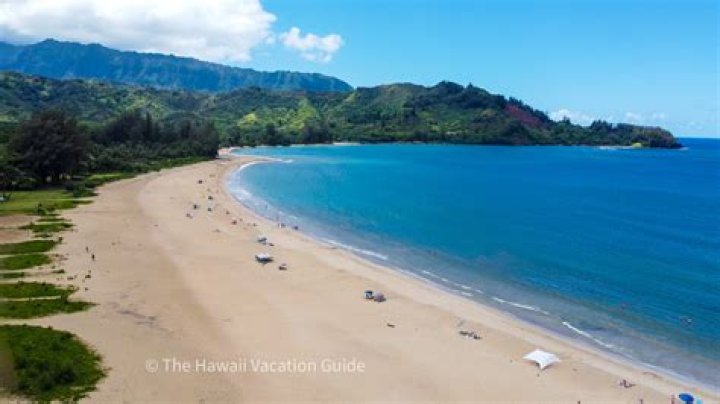 Unlock The Treasures Of "Fish Express Kauai": Discoveries And Insights
