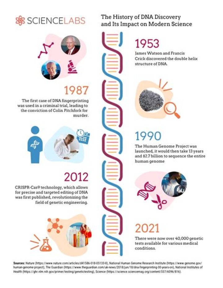 Unveil The Power Of Dani Saniels: Discoveries And Insights