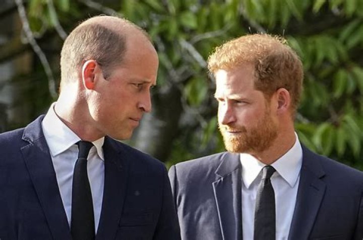 Unveiling the Distance Between William and Harry: Surprising Revelations