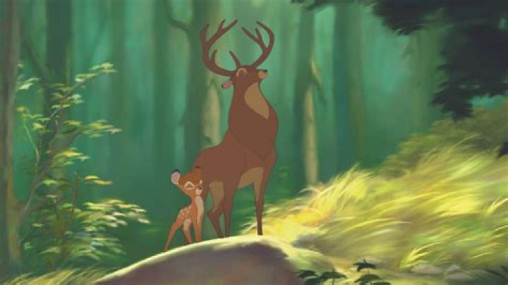 Unveiling The Enchanting Secrets Of The "Bambi Haggins Face"