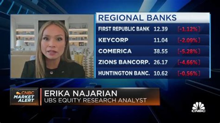 Who Is Is Erika Najarian Of UBS? Details To Know About The Wikipedia And Marital Life Of Equity Rese ·